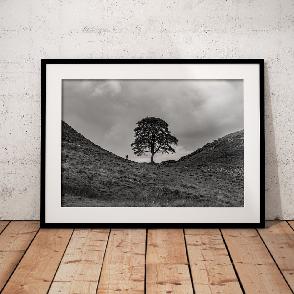 Hiking Alone at Sycamore Gap