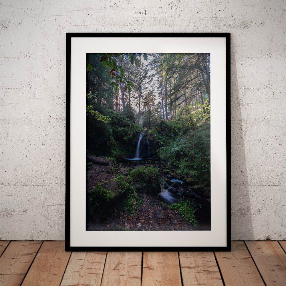 Hindhope Linn Waterfall Walk