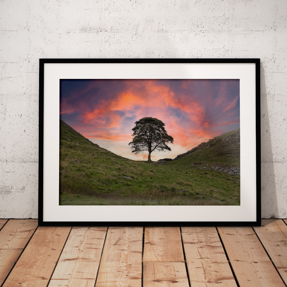 Sycamore Gap Sunset