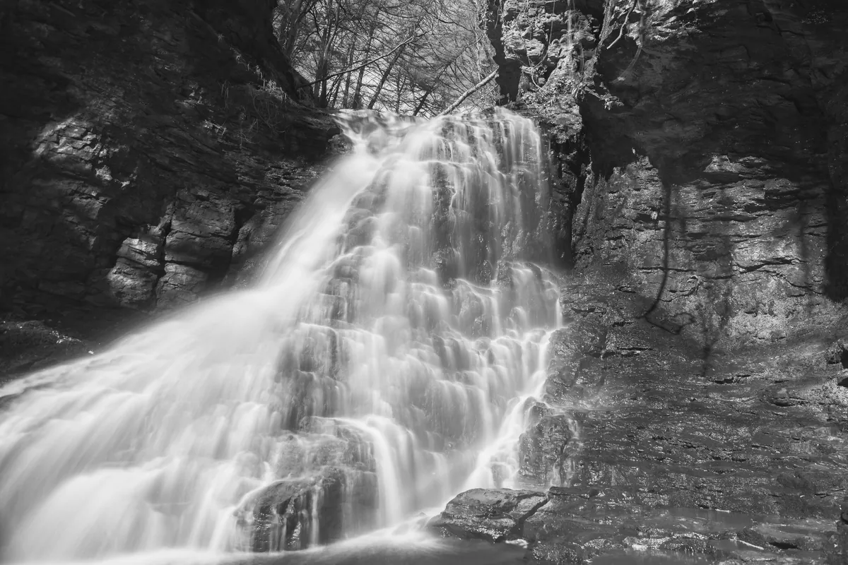 Hareshaw Linn pouring down a rock face in a wooded gorge, in black and white