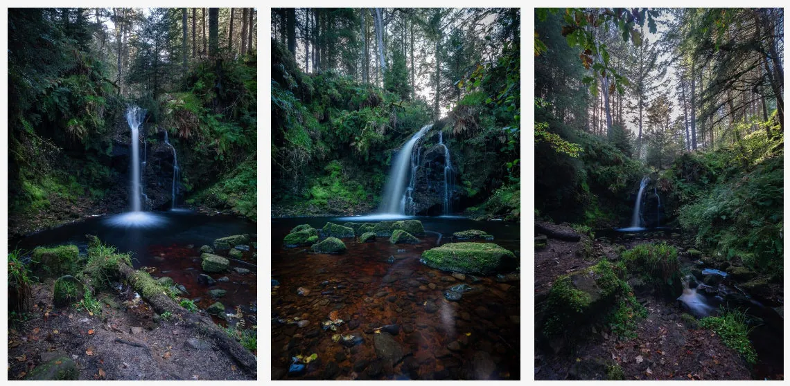 Three photographs of Hindhope Linn falling into a dark pool in a pine wood
