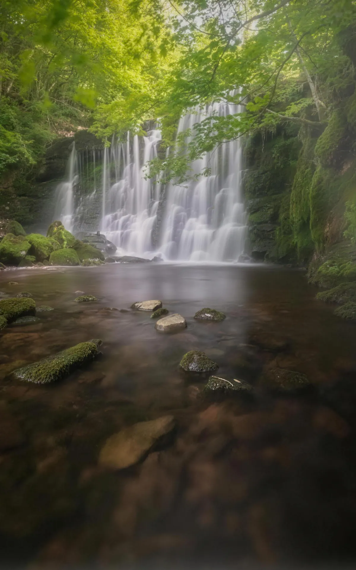 Scale Haw waterfall pouring into a clear pool under green trees in the Yorkshire Dales