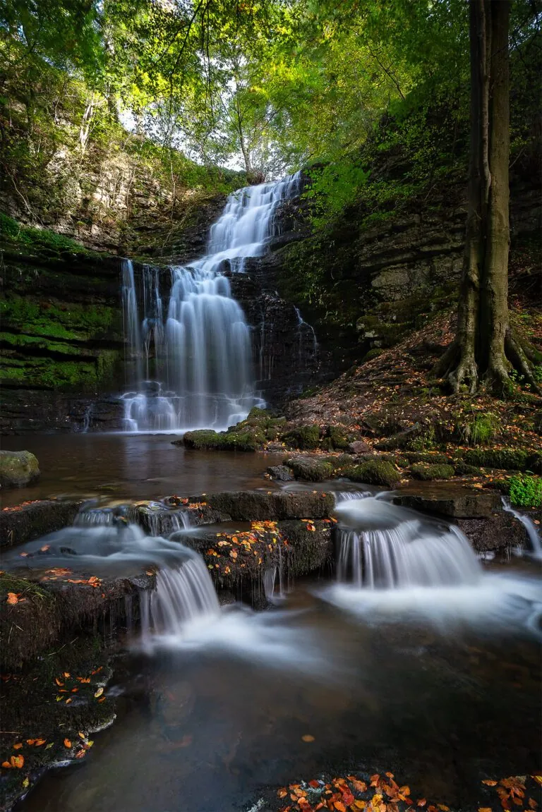 The main fall of Scaleber Force with two smaller falls in front, in autumn woodland