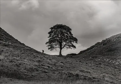 Hiking Alone at Sycamore Gap, a black and white photograph from the North East