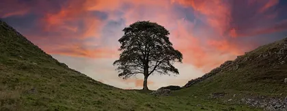 Sycamore Gap Sunset, a photograph from the North East