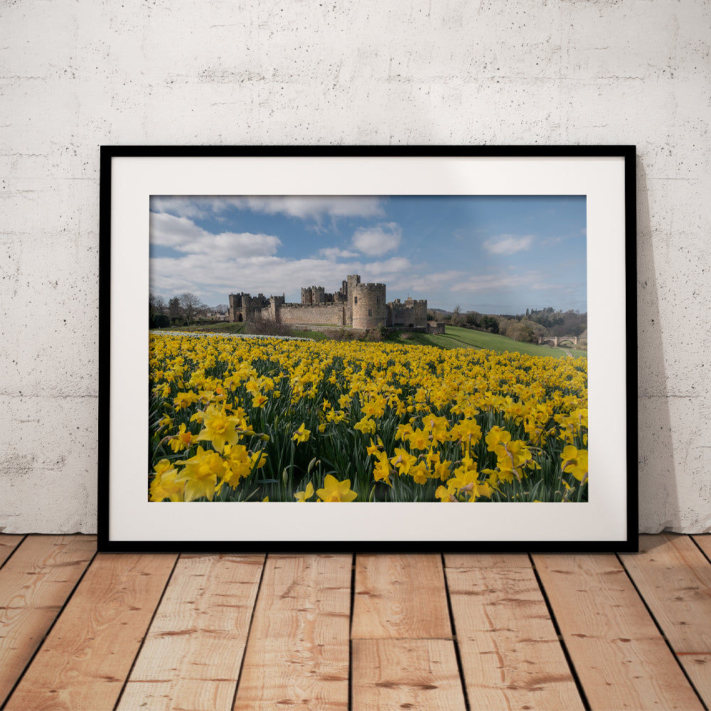 Alnwick Castle in Bloom