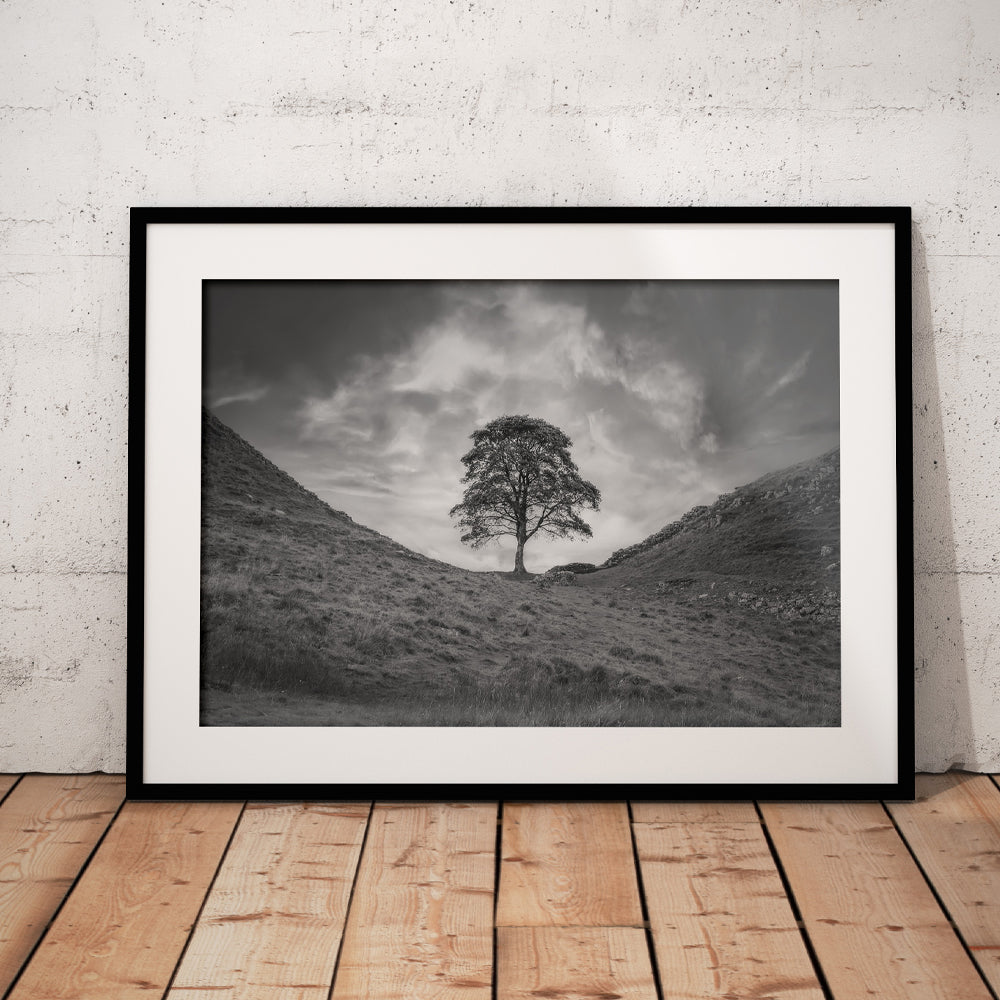 Stormy Sycamore Gap